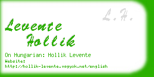 levente hollik business card